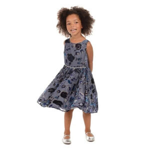 Pippa & Julie Lucy Navy Velvet Dress